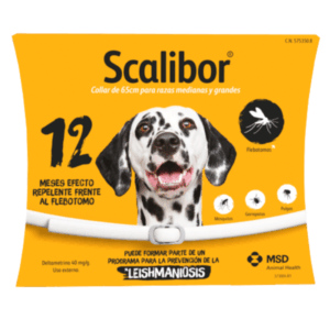 Collar scalibor (12 meses) - Msd