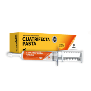 Cuatrifecta pasta - Burnet