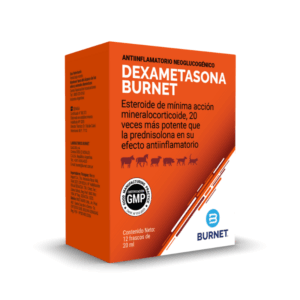 Dexametasona x 12 frascos - Burnet