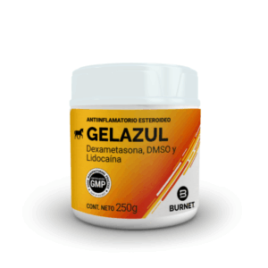 Gelazul x 250 gr – Burnet