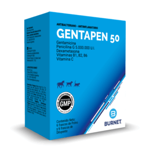 Gentapen 50 x 1 ds - Burnet