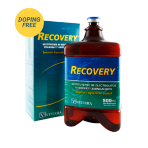 Recovery x 500 ml - Viterra